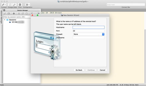 軟件開(kāi)發(fā) 從概念到實(shí)現(xiàn)的藝術(shù)與科學(xué)